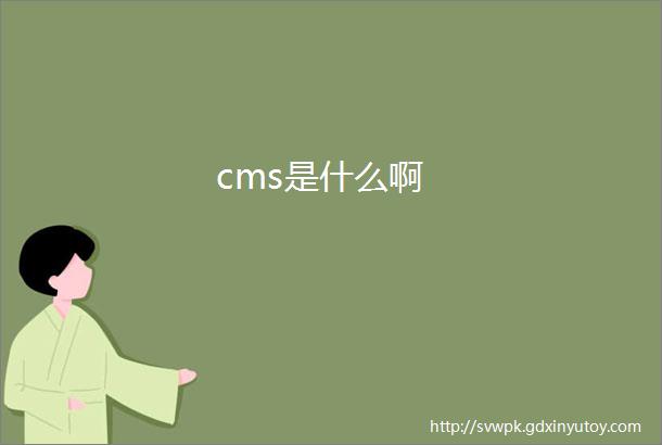 cms是什么啊